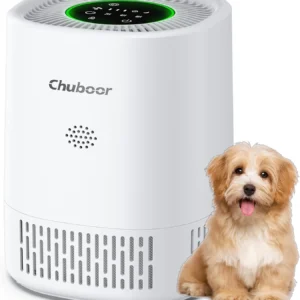 Air Purifier - Filter Cleaner with Sponge Filters